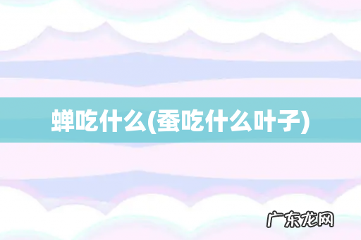 蚕吃什么叶子 蝉吃什么