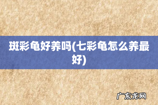 七彩龟怎么养最好 斑彩龟好养吗