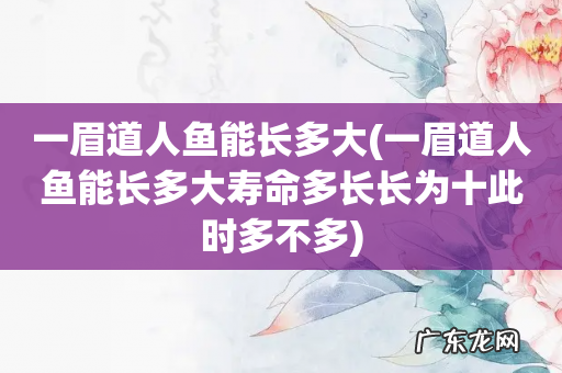 一眉道人鱼能长多大寿命多长长为十此时多不多 一眉道人鱼能长多大