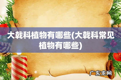 大戟科常见植物有哪些 大戟科植物有哪些