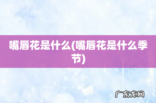 嘴唇花是什么季节 嘴唇花是什么