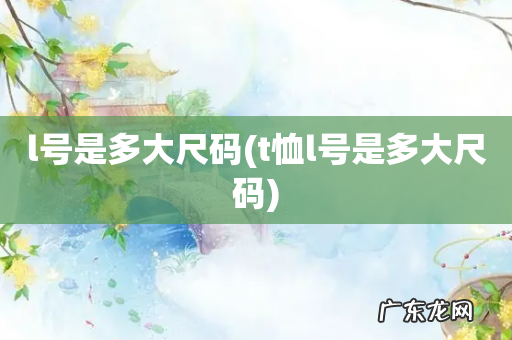 t恤l号是多大尺码 l号是多大尺码