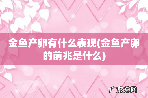 金鱼产卵的前兆是什么 金鱼产卵有什么表现