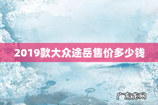 2019款大众途岳售价多少钱