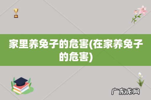 在家养兔子的危害 家里养兔子的危害