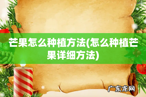 怎么种植芒果详细方法 芒果怎么种植方法