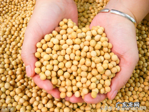 卵巢保养吃什么食物好 卵巢保养吃什么?