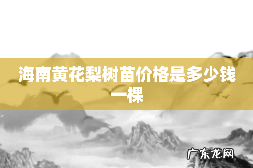海南黄花梨树苗价格是多少钱一棵