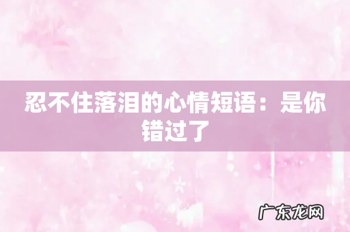 忍不住落泪的心情短语：是你错过了