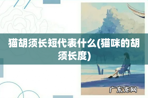 猫咪的胡须长度 猫胡须长短代表什么