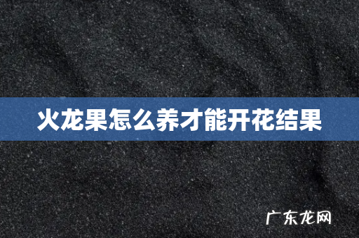 火龙果怎么养才能开花结果