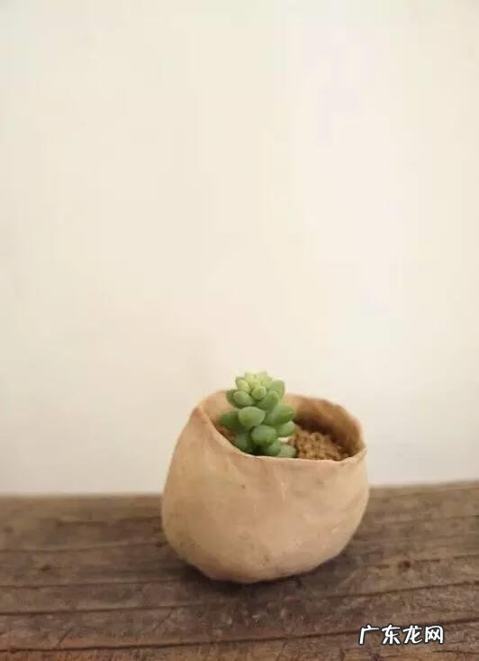 花盆坏了还能用吗风水 花盆裂开对风水有影响吗