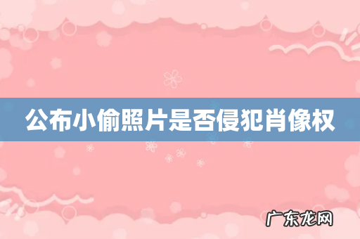 公布小偷照片是否侵犯肖像权