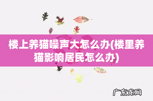 楼里养猫影响居民怎么办 楼上养猫噪声大怎么办