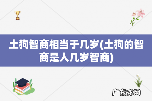 土狗的智商是人几岁智商 土狗智商相当于几岁