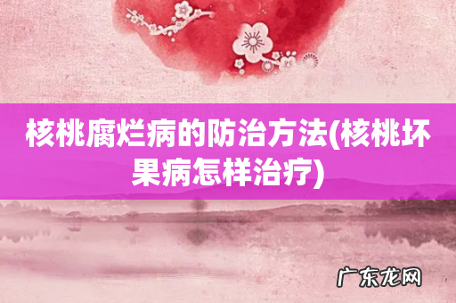 核桃坏果病怎样治疗 核桃腐烂病的防治方法