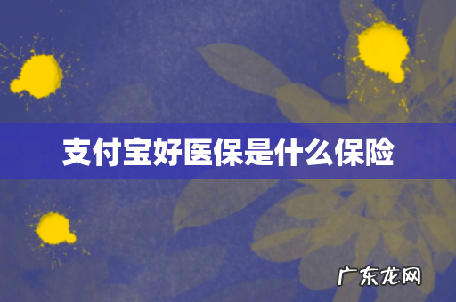 支付宝好医保是什么保险