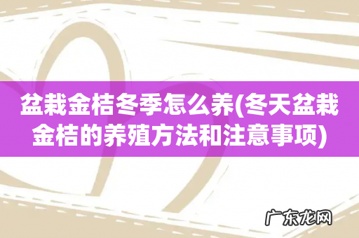 冬天盆栽金桔的养殖方法和注意事项 盆栽金桔冬季怎么养