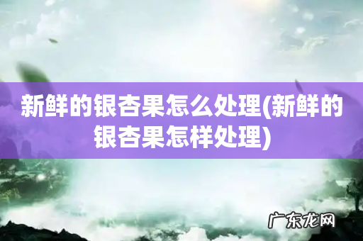 新鲜的银杏果怎样处理 新鲜的银杏果怎么处理