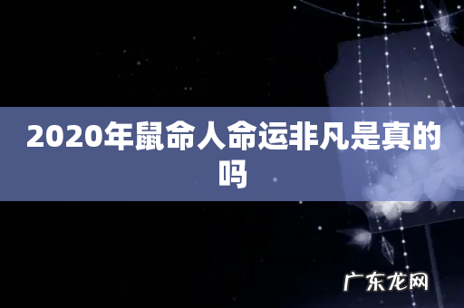 2020年鼠命人命运非凡是真的吗