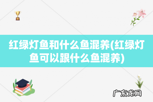 红绿灯鱼可以跟什么鱼混养 红绿灯鱼和什么鱼混养