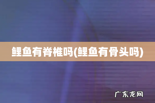 鲤鱼有骨头吗 鲤鱼有脊椎吗