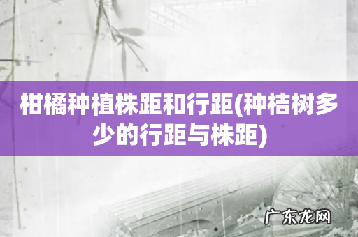 种桔树多少的行距与株距 柑橘种植株距和行距