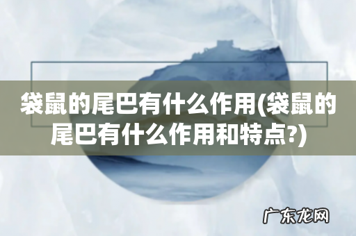 袋鼠的尾巴有什么作用和特点? 袋鼠的尾巴有什么作用