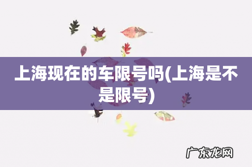 上海是不是限号 上海现在的车限号吗