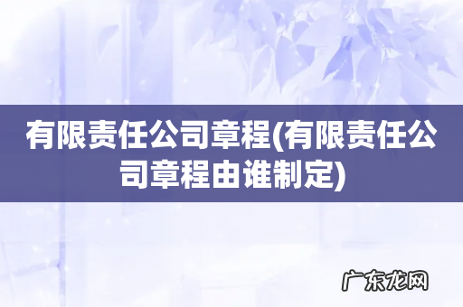有限责任公司章程由谁制定 有限责任公司章程