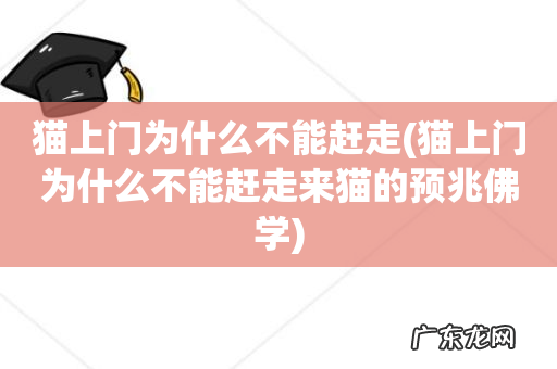 猫上门为什么不能赶走来猫的预兆佛学 猫上门为什么不能赶走