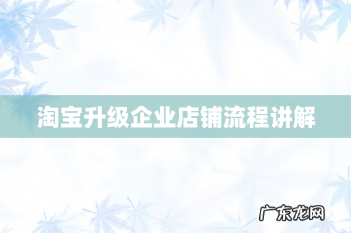 淘宝升级企业店铺流程讲解