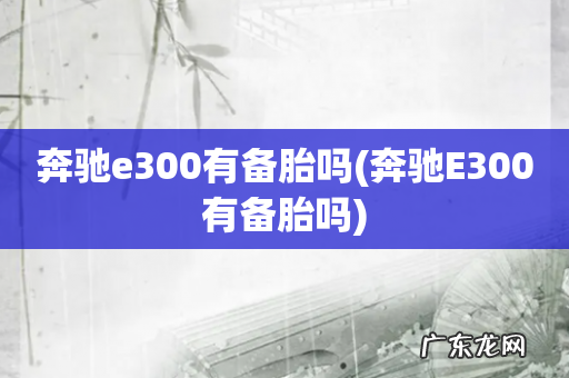 奔驰E300有备胎吗 奔驰e300有备胎吗