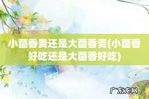 小茴香好吃还是大茴香好吃 小茴香贵还是大茴香贵