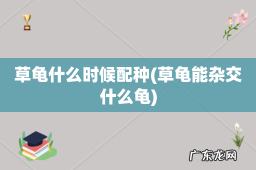 草龟能杂交什么龟 草龟什么时候配种