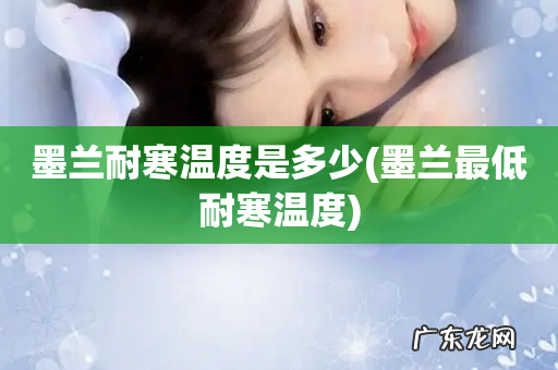 墨兰最低耐寒温度 墨兰耐寒温度是多少