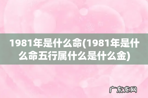1981年是什么命五行属什么是什么金 1981年是什么命