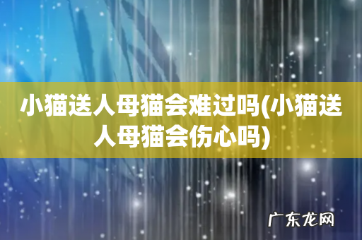 小猫送人母猫会伤心吗 小猫送人母猫会难过吗