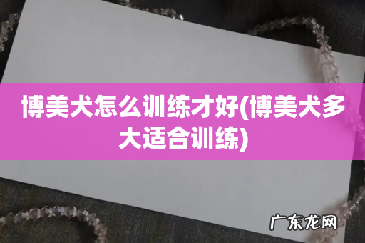 博美犬多大适合训练 博美犬怎么训练才好