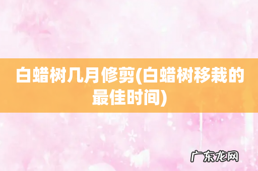 白蜡树移栽的最佳时间 白蜡树几月修剪