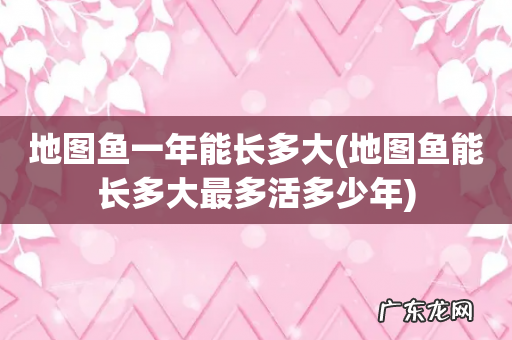 地图鱼能长多大最多活多少年 地图鱼一年能长多大
