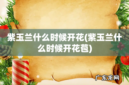 紫玉兰什么时候开花苞 紫玉兰什么时候开花