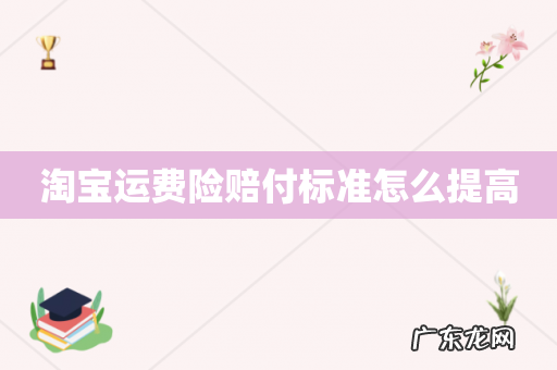 淘宝运费险赔付标准怎么提高
