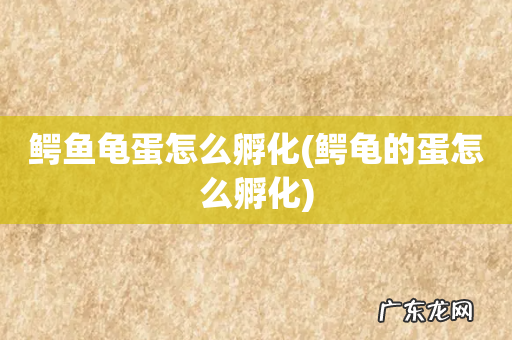 鳄龟的蛋怎么孵化 鳄鱼龟蛋怎么孵化