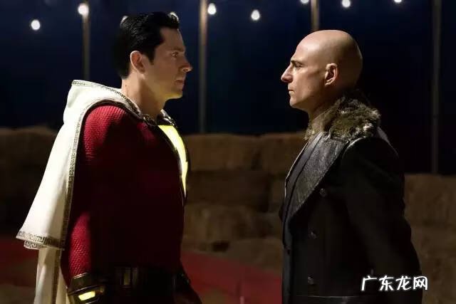 黑豹有多少只 黑豹哪里多跑跑车