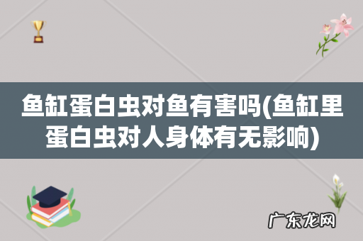 鱼缸里蛋白虫对人身体有无影响 鱼缸蛋白虫对鱼有害吗
