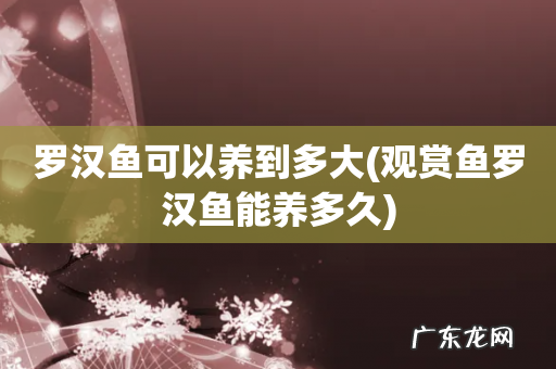 观赏鱼罗汉鱼能养多久 罗汉鱼可以养到多大