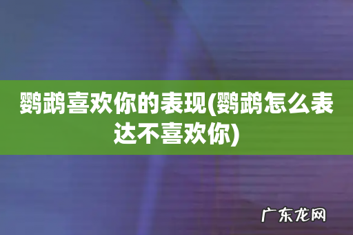 鹦鹉怎么表达不喜欢你 鹦鹉喜欢你的表现