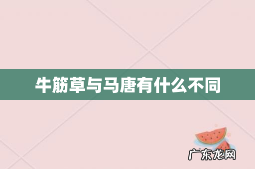 牛筋草与马唐有什么不同