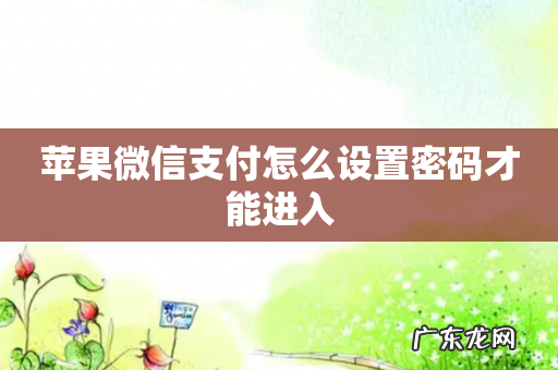 苹果微信支付怎么设置密码才能进入